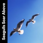 Seagulls Soar Above