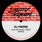 Give Me What I Want (Mixes)