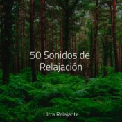 50 Sonidos de Relajación