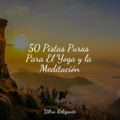 50 Pistas Puras Para El Yoga y la Meditación
