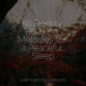 50 Deeply Relaxing Melodies for a Peaceful Sleep