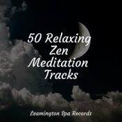 50 Relaxing Zen Meditation Tracks