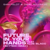 Future In Your Hands (feat. Aloe Blacc) (Skytech Remix)