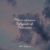 Musicoterapia Relajante de Primavera