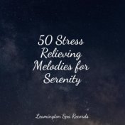 50 Stress Relieving Melodies for Serenity