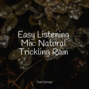 Easy Listening Mix: Natural Trickling Rain