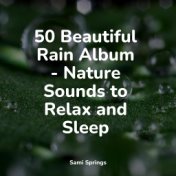 50 Beautiful Rain Album - Nature Sounds to Relax and Sleep