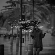 Chakra Sounds of Nature - Exotic Rain Sounds