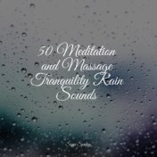 50 Meditation and Massage Tranquility Rain Sounds