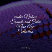 winter Nature Sounds and Calm New Age Collection