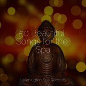 50 Beautiful Songs for the Spa
