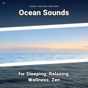 #01 Ocean Sounds for Sleeping, Relaxing, Wellness, Zen