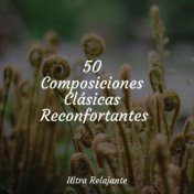 50 Composiciones Clásicas Reconfortantes