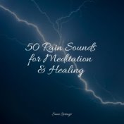 50 Rain Sounds for Meditation & Healing