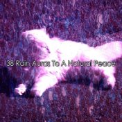 38 Rain Auras To A Natural Peace