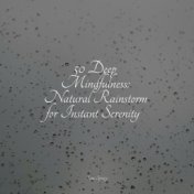 50 Deep Mindfulness: Natural Rainstorm for Instant Serenity