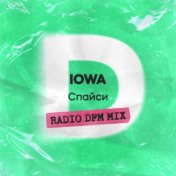 Спайси (Radio DFM Mix)