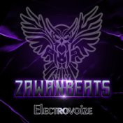 Electrovoize
