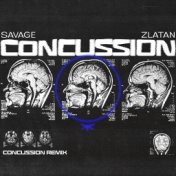 Concussion (Remix)
