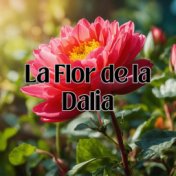 La Flor de la Dalia