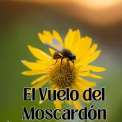 El Vuelo del Moscardón