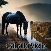 Caballo Viejo