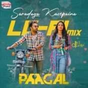 Saradaga Kasepaina Lofi Mix (From "Paagal")