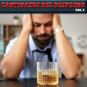 Cantinazos Del Despecho, Vol.2