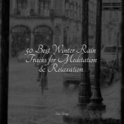 50 Best Winter Rain Tracks for Meditation & Relaxation