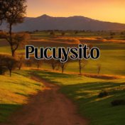 Pucuysito