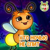 Кто ночью не спит