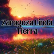 Zaragoza Linda Tierra