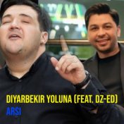 Diyarbekir Yoluna