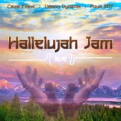 Hallelujah Jam (Live)