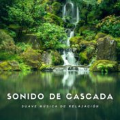 Sonido de Cascada Suave Musica de Relajacion