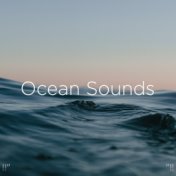 !!" Ocean Sounds "!!