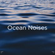 !!" Ocean Noises "!!