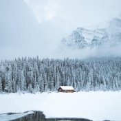 Sleepy Sounds of Nature | Meditation Focus & Babies