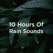 !!" 10 Hours Of Rain Sounds "!!