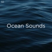 50 Oceans Sounds