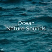 !!" Ocean Nature Sounds "!!