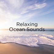 50 Relaxing Ocean Sounds