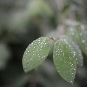 30 Sounds of Nature and Rain for Stress Relieving Meditation