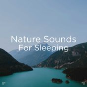 !!" Nature Sounds For Sleeping "!!