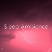 !!" Sleep Ambience "!!