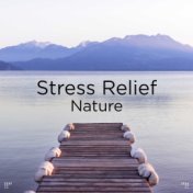 !!" Stress Relief Nature "!!