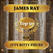 Itty Bitty Pieces (Billboard Hot 100 - No 41)