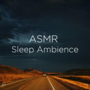 !!" ASMR Sleep Ambience "!!