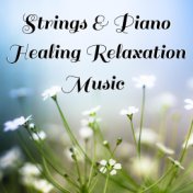 Strings & Piano Healing Relaxation Music