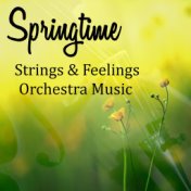 Springtime Strings & Feelings Orchestra Music